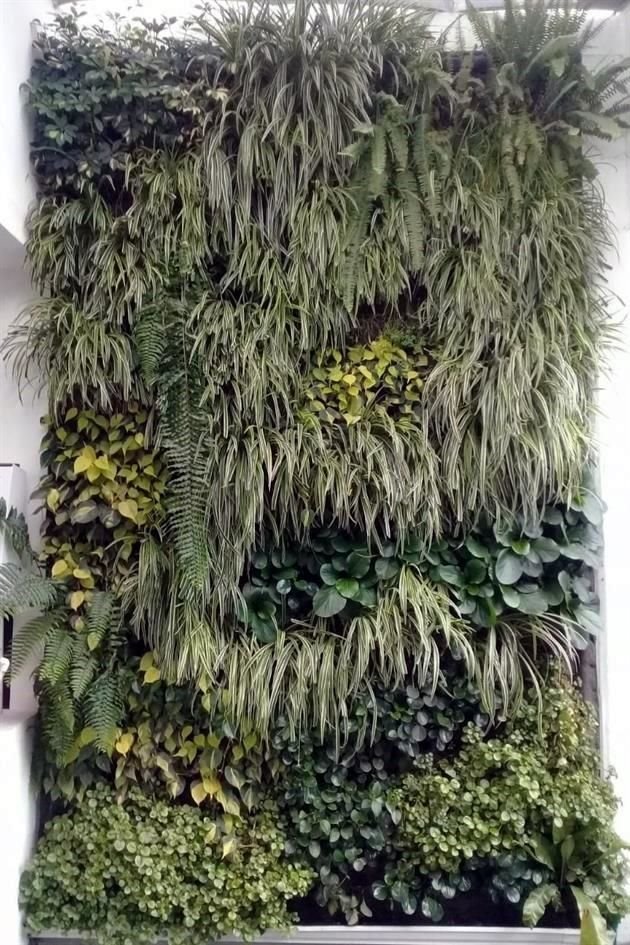 Es posible crear diseños con diferentes tipos de plantas, pero se recomienda que no se cambien constantemente ya que eso no es sano para el jardín.