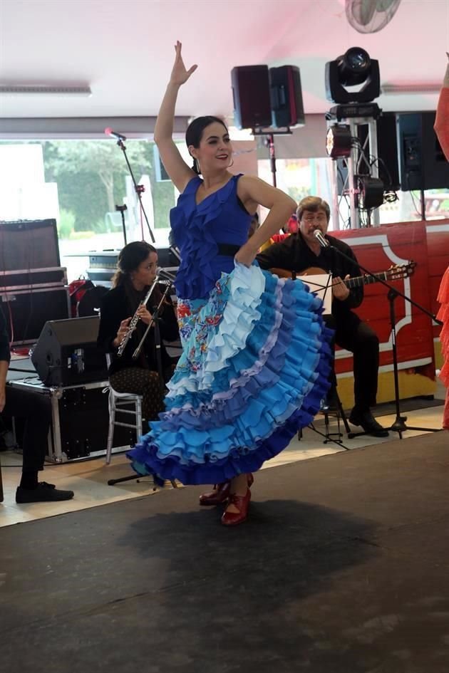 Detalle de flamenco