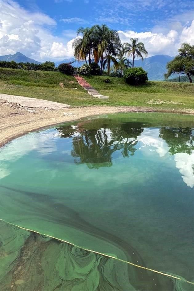 En diferentes puntos de la Presa La Boca aparecieron manchas verdes, por lo que Agua y Drenaje levantó muestras para analizarlas.