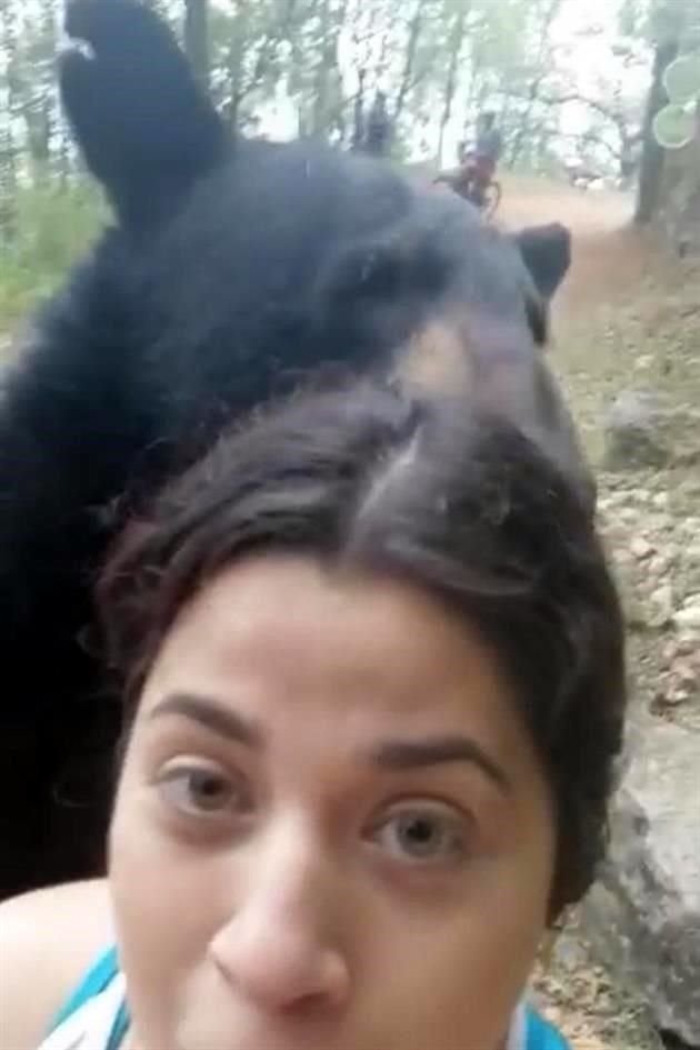 La mujer se tomó una selfie cuando el oso se le acercó.
