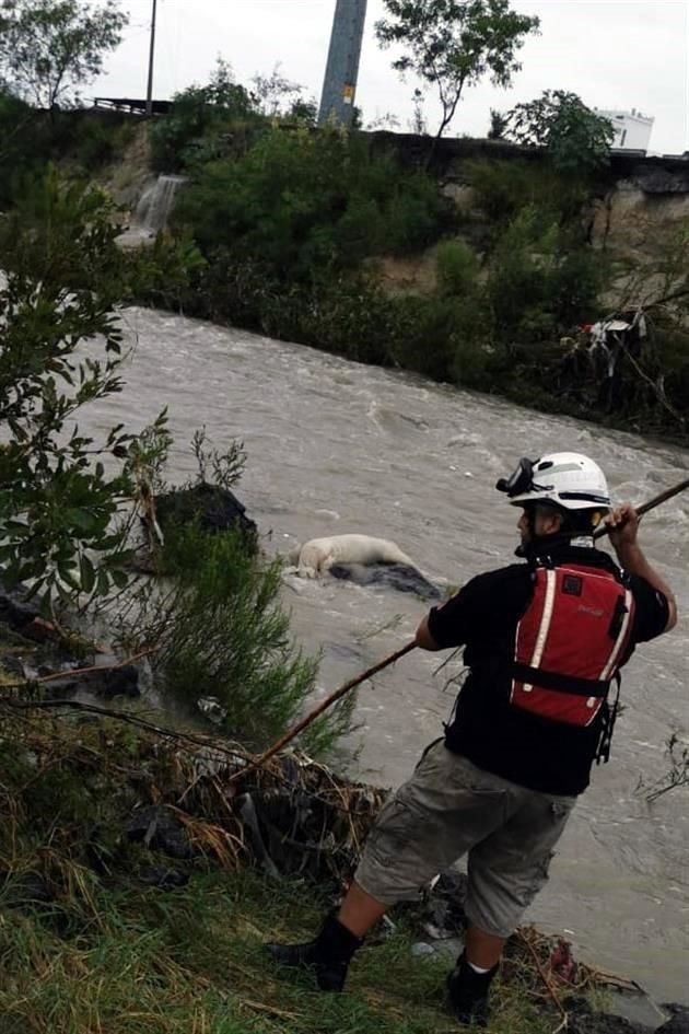 Protección Civil de Nuevo León se mantiene alerta ante la llegada de la tormenta tropical.