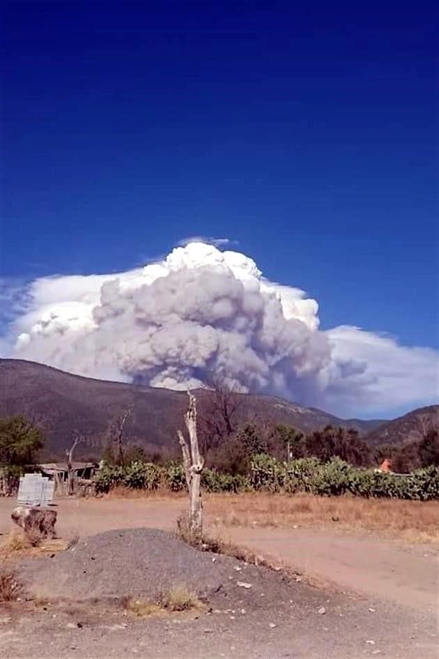 Es el primer incendio forestal grande de la temporada y que se desató en una zona de arbolado adulto y pinos, conocida como 'La Pinalosa'.