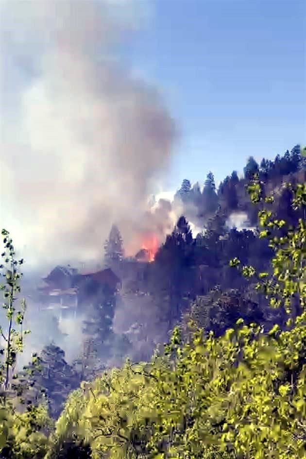 Una semana después de sofocarse los incendios forestales en la Sierra de Arteaga, un nuevo siniestro prendió en la zona de Monterreal.