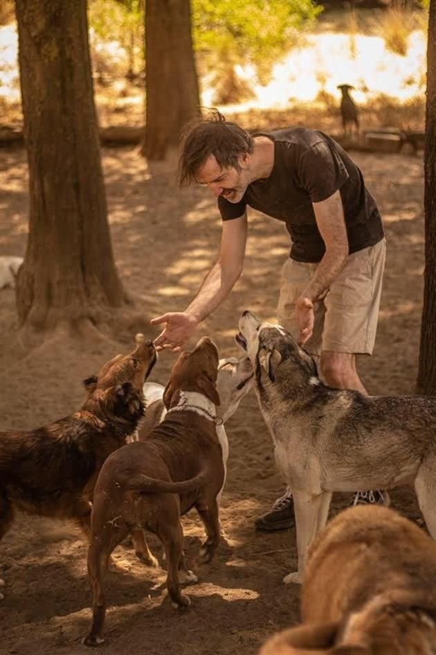 'No voy a abandonar a estos animales, son mi responsabilidad, son mi familia', dijo.