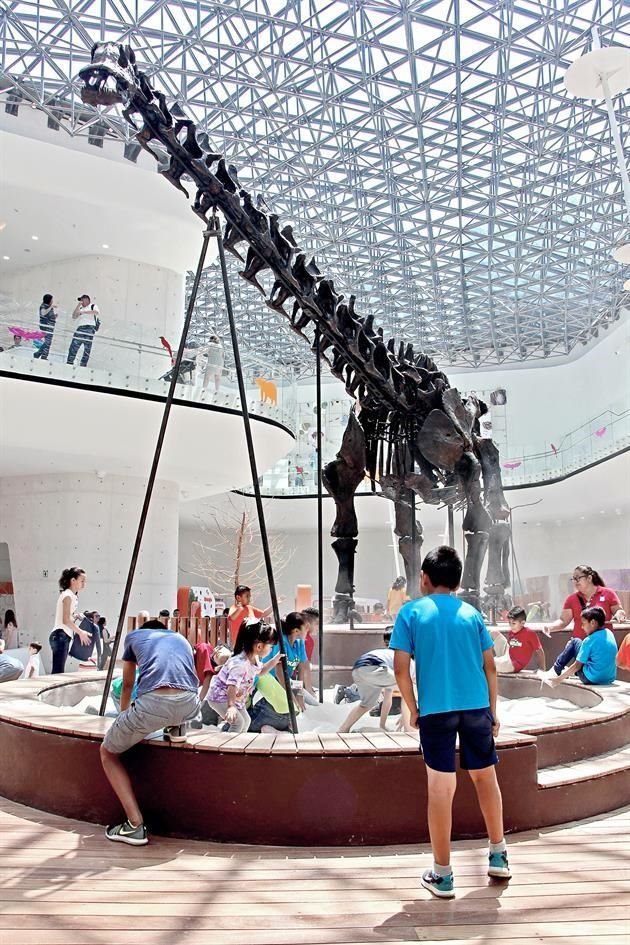 La pandemia interrumpió labores en el museo desde marzo del 2020.