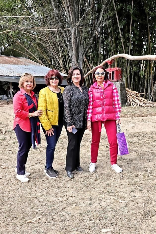 Liliana Cantú de López, Lidia Lagüera  de Balandra, Margarita Gámez de Zambrano y Amalia Lozano de Maiz