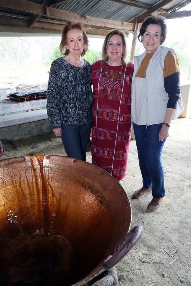 Ercilia de Gracida, Cecilia Benavides  de Albuerne y Blanca Cavada