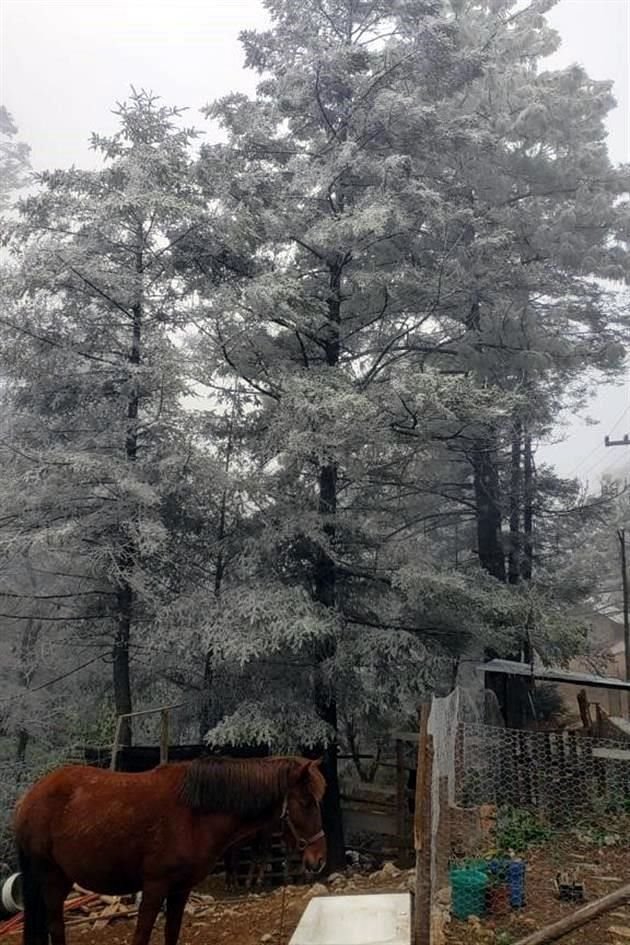 El paso de un nuevo frente frío provoca bajas temperaturas de menos de 4 grados centígrados en la Sierra de Santiago.