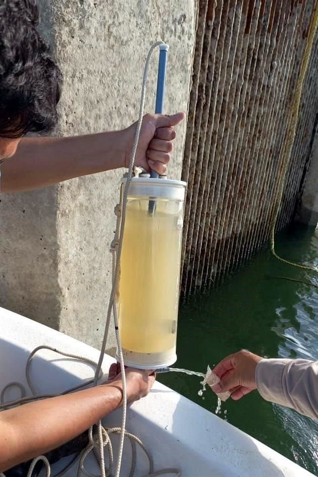 AyD advierte que la turbiedad en el agua de lluvia en la Presa la Boca podría provocar insuficiencia de abastecimiento al sur de la Ciudad.