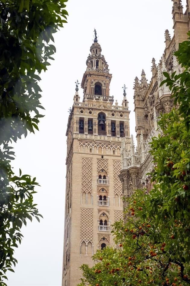 Con la llegada de la primavera, los naranjos que hay en las calles y plazas de Sevilla están plagados con bellas flores de azahar. Un delicioso aroma se respira en el ambiente también en Málaga.