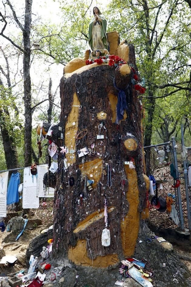 En el lugar también hay una imagen de la Virgen de Guadalupe sobre este tronco.