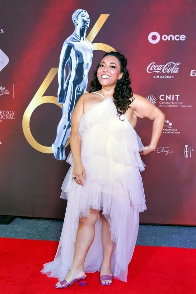 La comediante y actriz  Michelle Rodríguez será la encargada de conducir la ceremonia 66 de los Premios Ariel, otorgados por la Academia Mexicana de Artes y Ciencias Cinematográficas (AMACC).