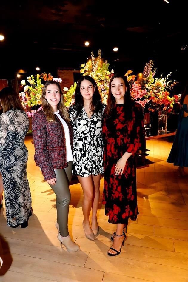 Ana Teresa Troncoso, Ángela Vargas y Anilú Vargas