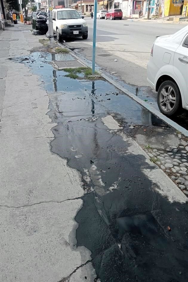 Los encharcamientos se pueden observar tanto en la banqueta como a nivel de calle, lo que incrementa el riesgo para los peatones.