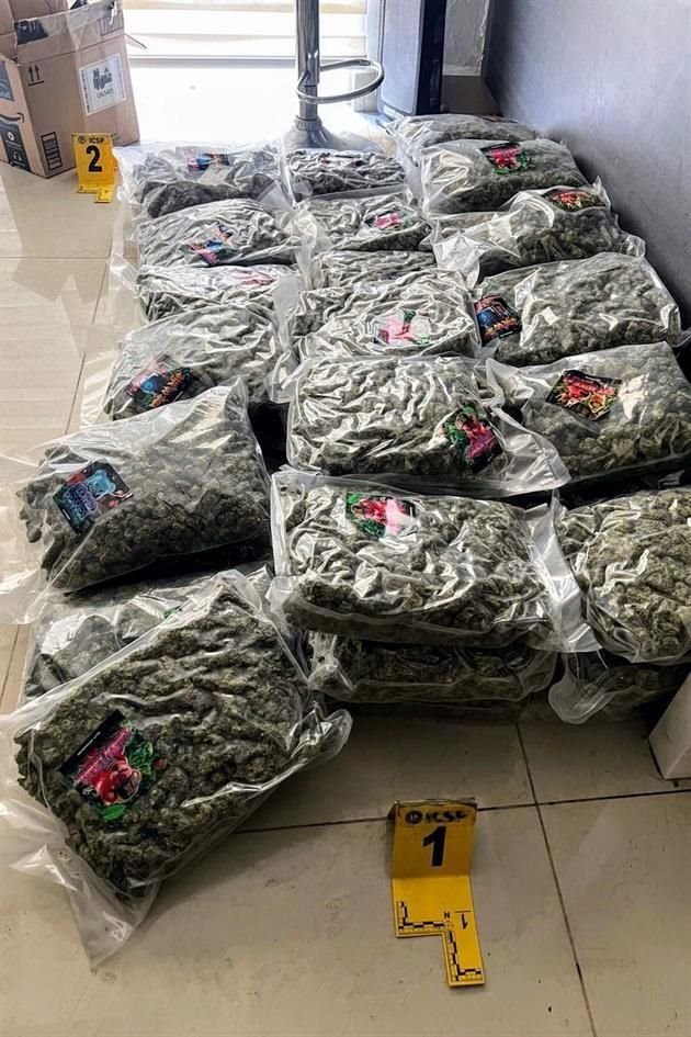 Se encontraron 45 bolsas con mariguana, algunas empaquetadas al vacío, que dieron un peso aproximado de 15 kilos.