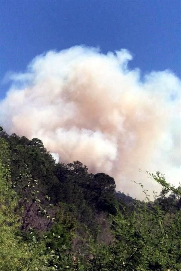 Alrededor de las 11:00 horas, los cuerpos de auxilio recibieron el reporte de los hechos en el lugar conocido como Cañón de Vacas.