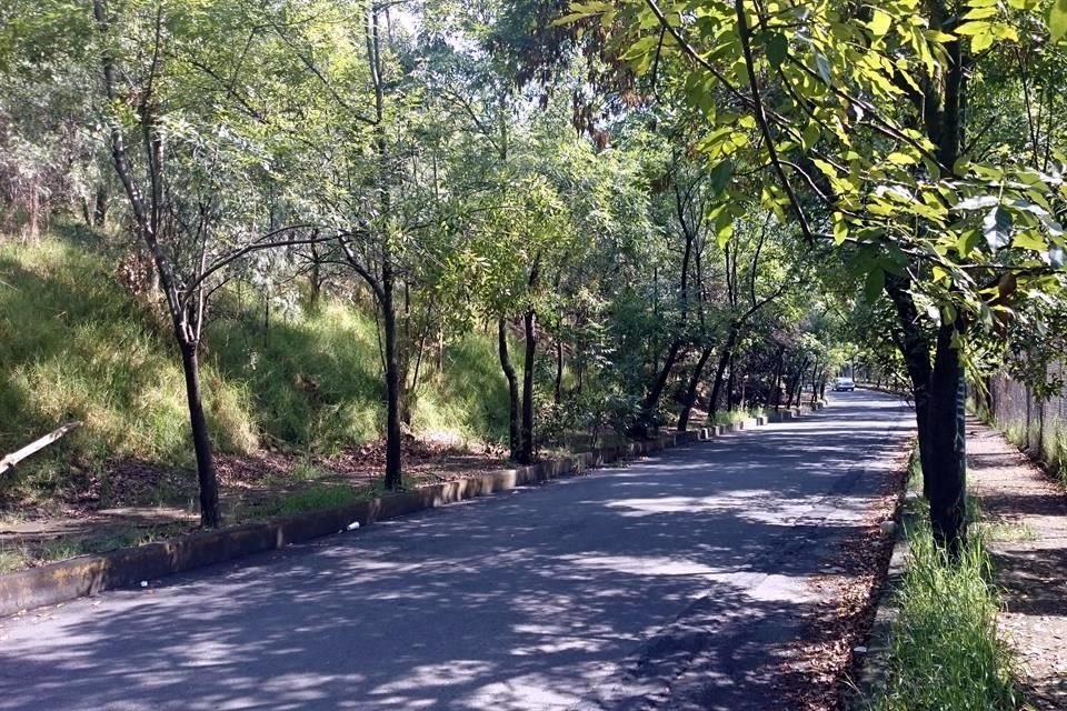 Sheinbaum dijo que la Tercera Sección del Bosque de Chapultepec será sometida a un rescate hídrico y ambiental.