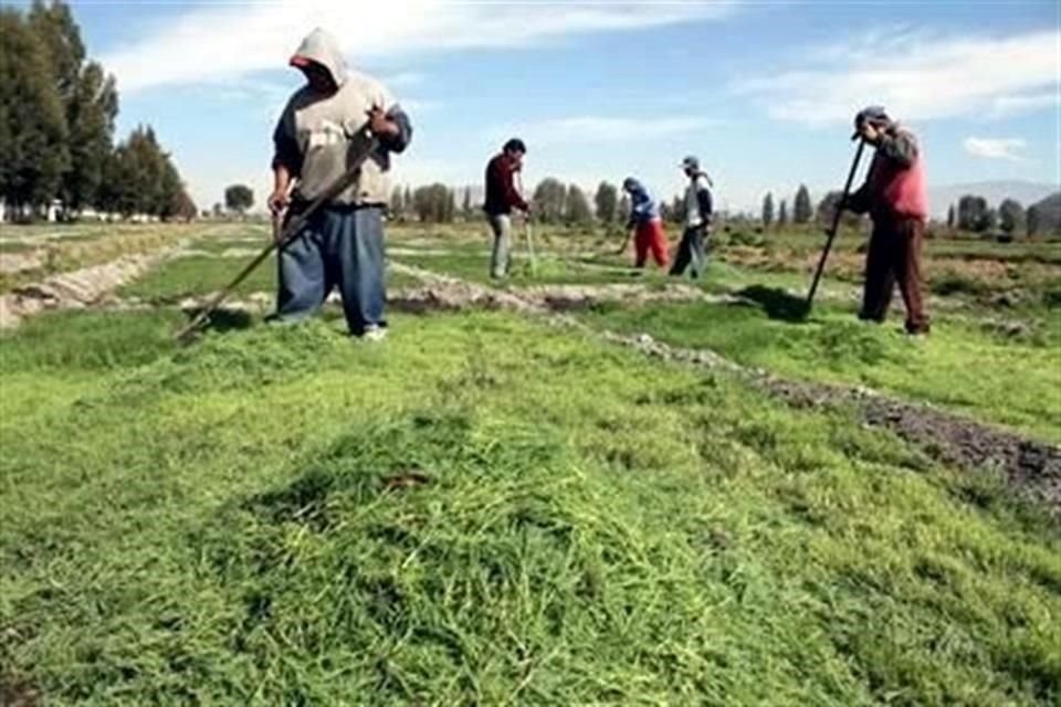 México exporta a EU 26 mil 894 millones de dólares en productos agroalimentarios. 