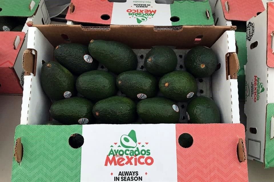 Estados Unidos es el país al que se envía más del 80 por ciento de toda la producción de aguacate de Michoacán.