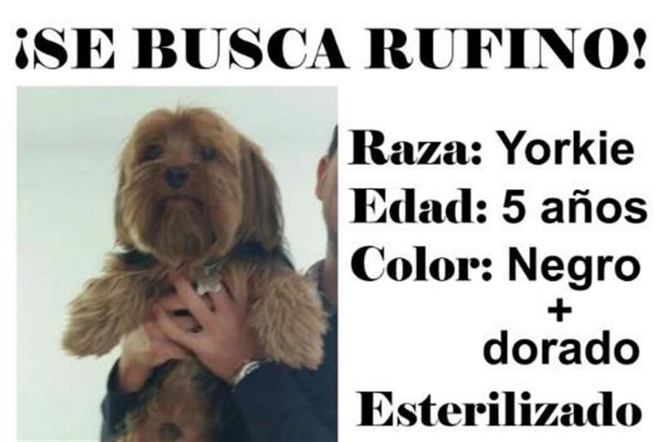 El atraco fue cometido el 17 de diciembre a las 19:00 horas, pero trascendió días después cuando la mujer hizo una publicación en Facebook.