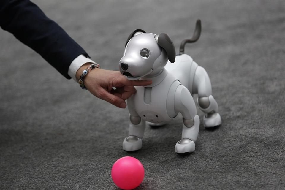 Gracias a la IA, Aibo aprende del ambiente en el que se desarrolla para poder interactuar de manera más natural con las personas.