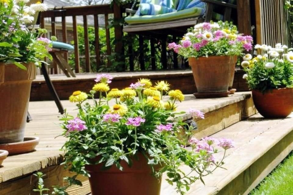 Las flores de temporada permiten darle vida al jardín durante la temporada de primavera.