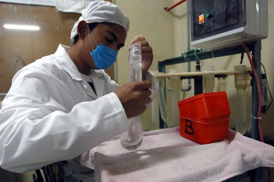 La Cofece determinó que las empresas Dentilab, Productos Galeno, Holiday de México, Trenkes y Productos Adex, así como siete personas físicas, cometieron prácticas monopólicas absolutas en la producción, distribución y comercialización de condones y sondas de látex.