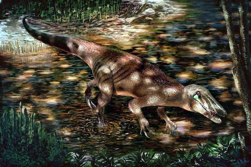 Ilustración del Trataywnia, dinosaurio carnívoro que integró un grupo llamado megaraptóridos, que vivió en el hemisferio sur entre 105 y 85 millones de años atrás.