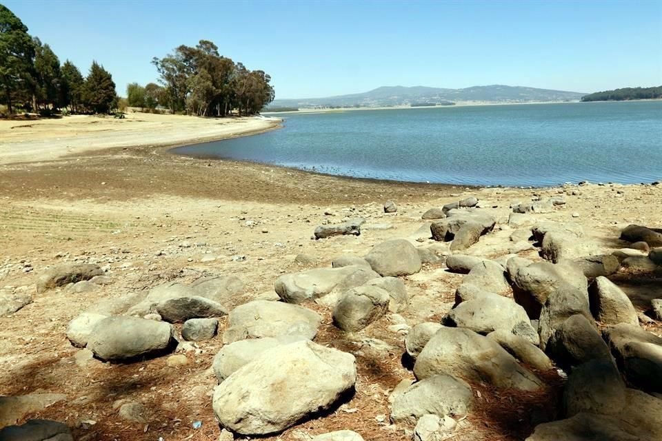 Ante la falta de agua, árboles enormes muestran las raíces desnudas y a un lado grandes piedras de río, antes sumergidas, yacen expuestas.