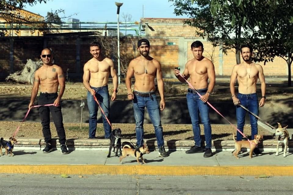 Miembros de los gimnasios Wolfbars de Tepic saldrán sin camisa a pasear perros por 100 pesos, para recaudar fondos para construir un santuario de canes.