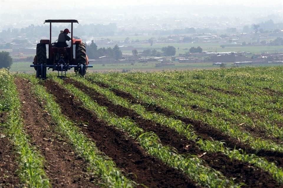 De acuerdo con el sitio AgriPulse, en la presentación a puerta cerrada entre funcionarios de ambos países, los representantes mexicanos 'hicieron poco'.