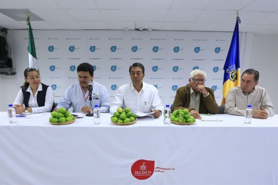 De acuerdo con la Seder, Jalisco cuenta con 10 empacadoras de limón y 12 centros de acopio certificados por Senasica. 