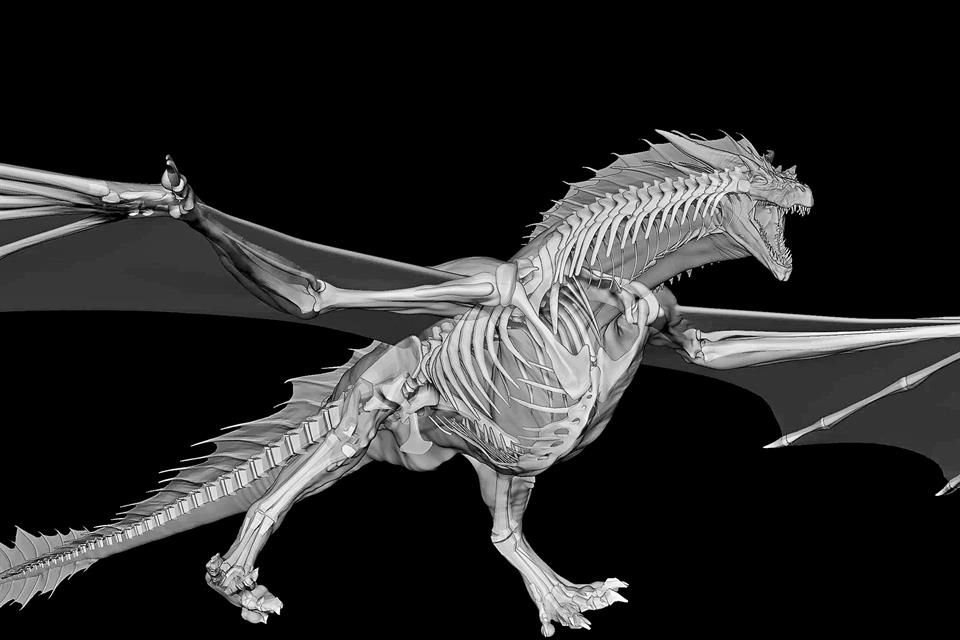 Para el diseñador de criaturas, la anatomía es importante para que cada monstruo tenga credibilidad y por ello da tanta importancia a cada detalle, sobre todo al esqueleto.