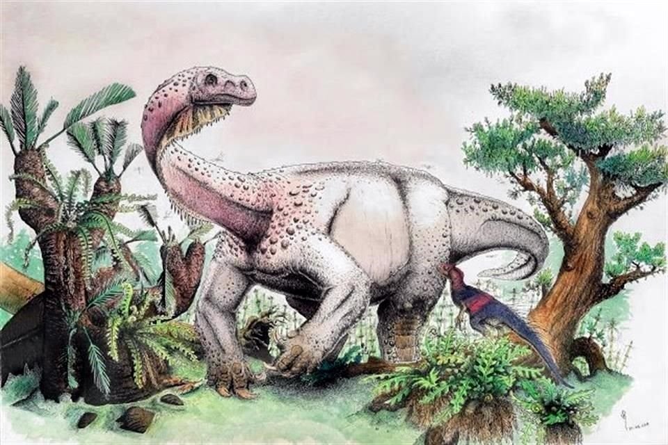 Los estudios realizados sugieren no sólo que el Ledumahadi mafube era cuadrúpedo, sino que muchos otros saurópodos tempranos estaban 'experimentado' en el arte de caminar a cuatro patas.