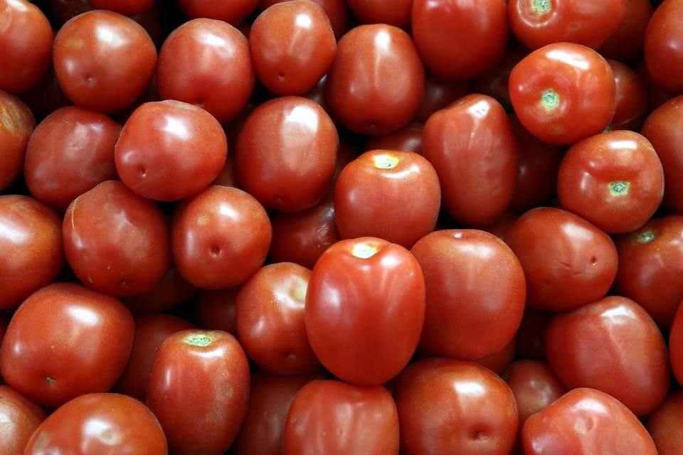 El Gobierno estadounidense anunció que sus cálculos dieron como resultado un margen de dumping a los tomates mexicanos de 25.28 por ciento. 