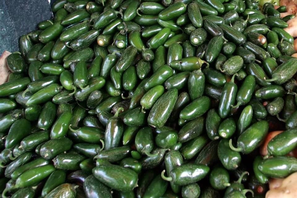 El chile pertenece al género Capsicum, nombre que proviene del griego Kapsakes, que significa cápsula.