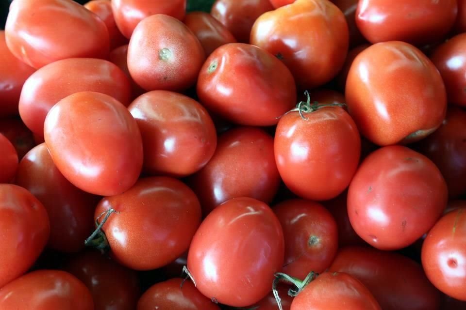 El alza en los precios del tomate rojo de exportación se debe en gran parte a la imposición de las cuotas arancelarias por parte de EU.