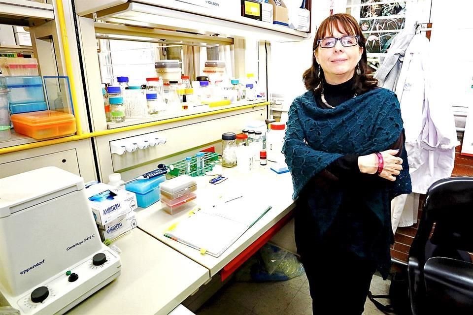 María Elena Álvarez-Buylla, directora del Conacyt.