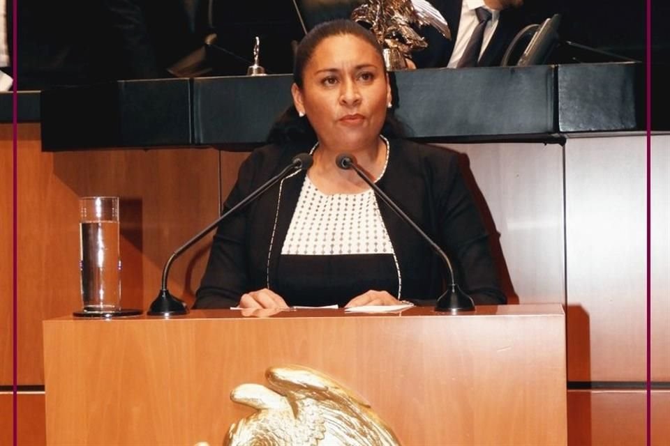 Según el Sistema de Información Legislativa, la senadora Ana Lilia Rivera (Morena) carece de formación o experiencia en el sector científico y es activista en defensa del maíz nativo.
