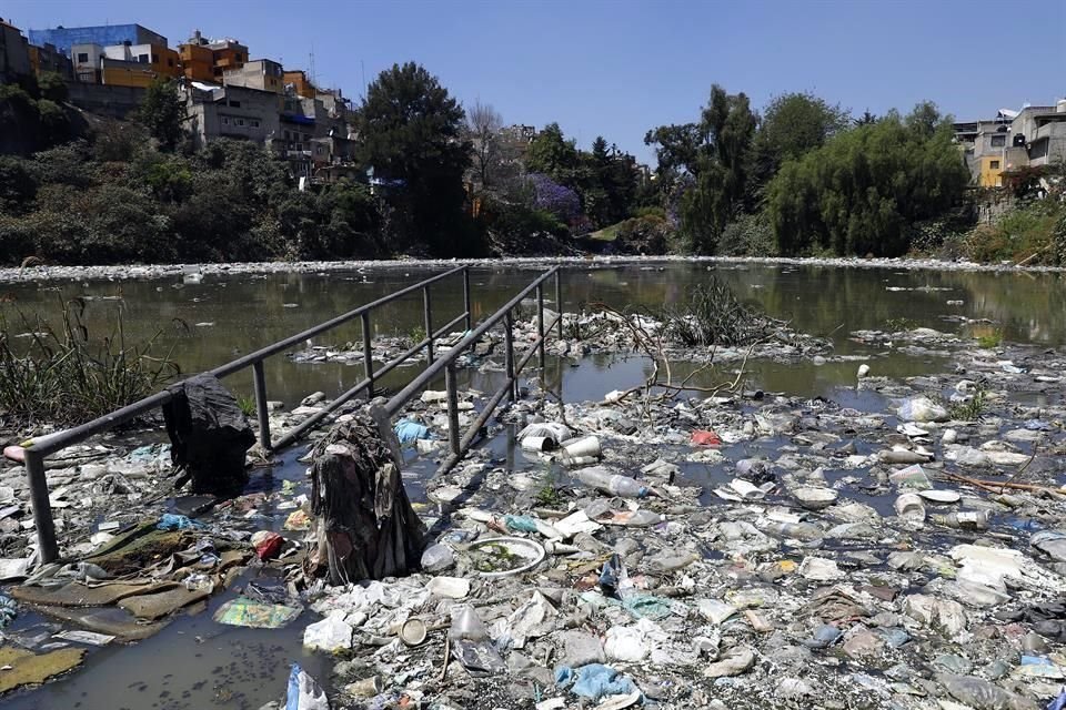 La presa Becerra está llena de basura, pese a que en ocasiones se limpia de desechos.