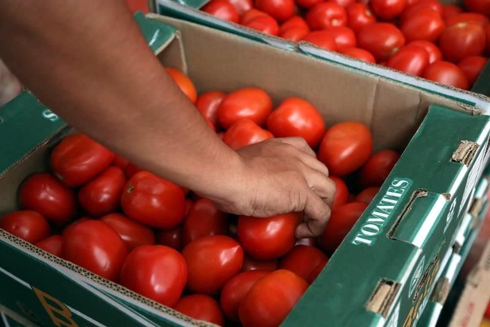 El morenista Alfonso Ramírez Cuellar indicó que el comercio bilateral del tomate representa un mercado de más de dos mil millones de dólares anuales, del cual dependen miles de productores de México y de Estados Unidos.