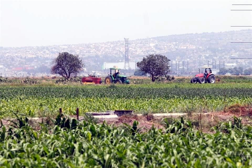 Terrenos cercanos a la Base Aérea de Santa Lucía.