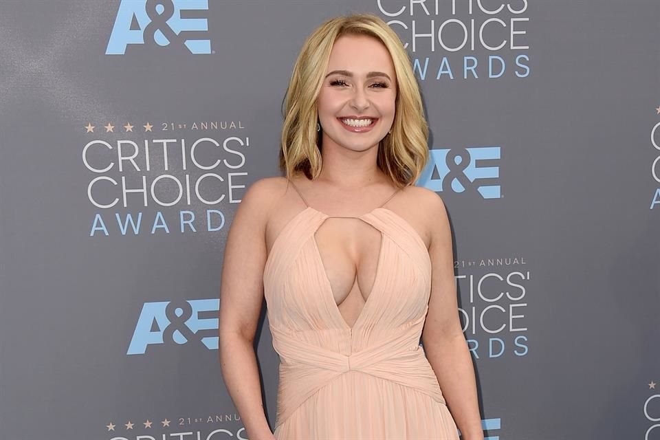 El novio de Hayden Panettiere enfrenta un cargo por herir a la actriz.