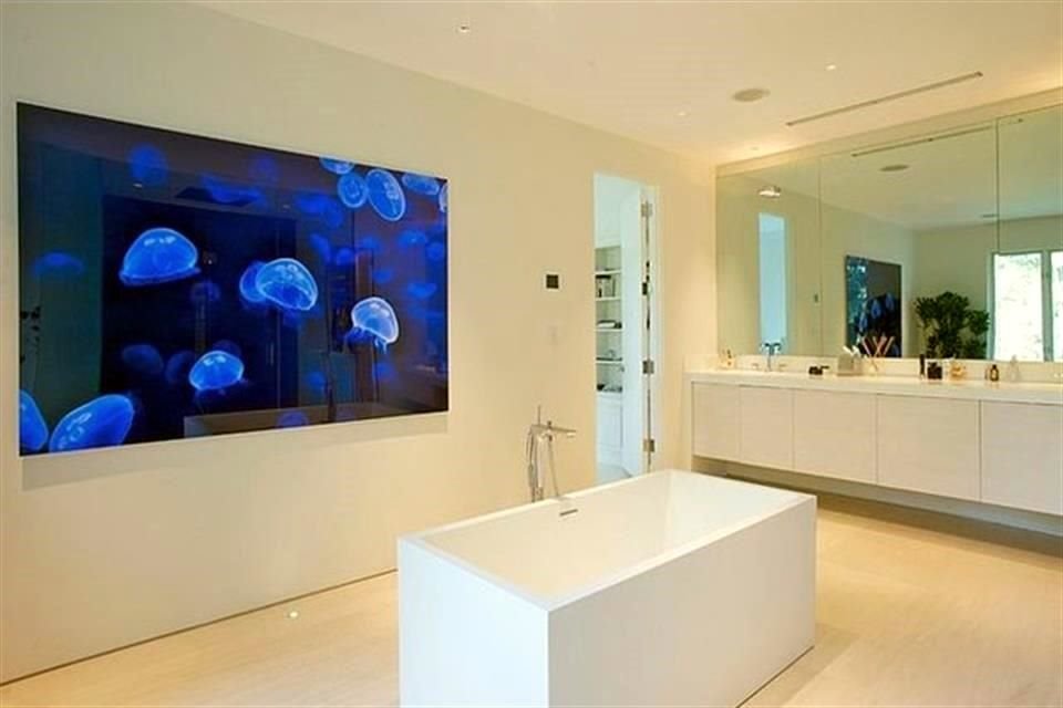 Los especialistas detallan que un acuario puede ser de cristal, acrílico o policarbonato.