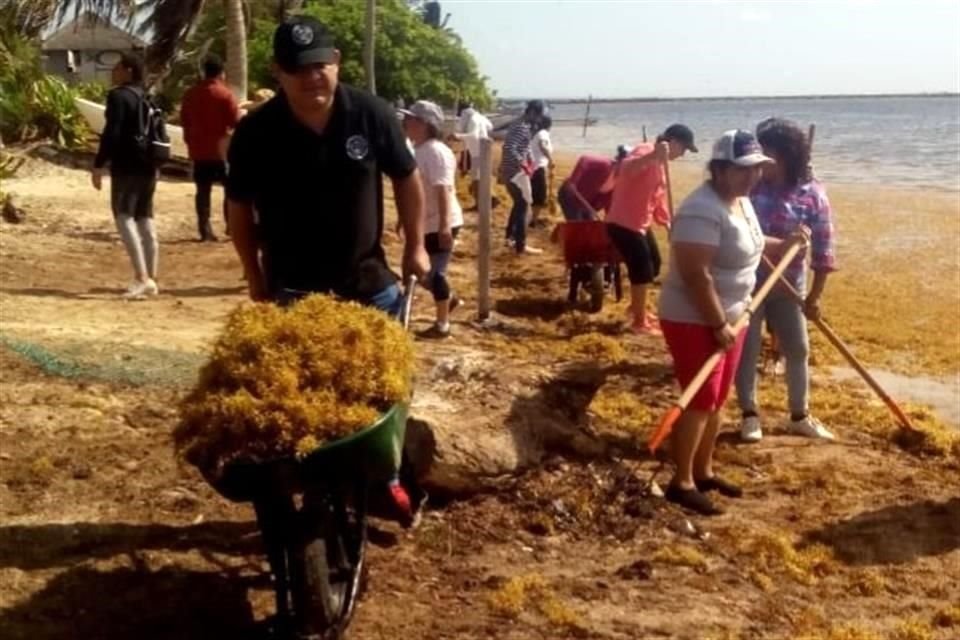 La Secretaría de Marina (Semar) fue designada, por el Presidente, para las labores de recolección de la masa de macroalga en altamar y evitar su arribo a las costas del estado.