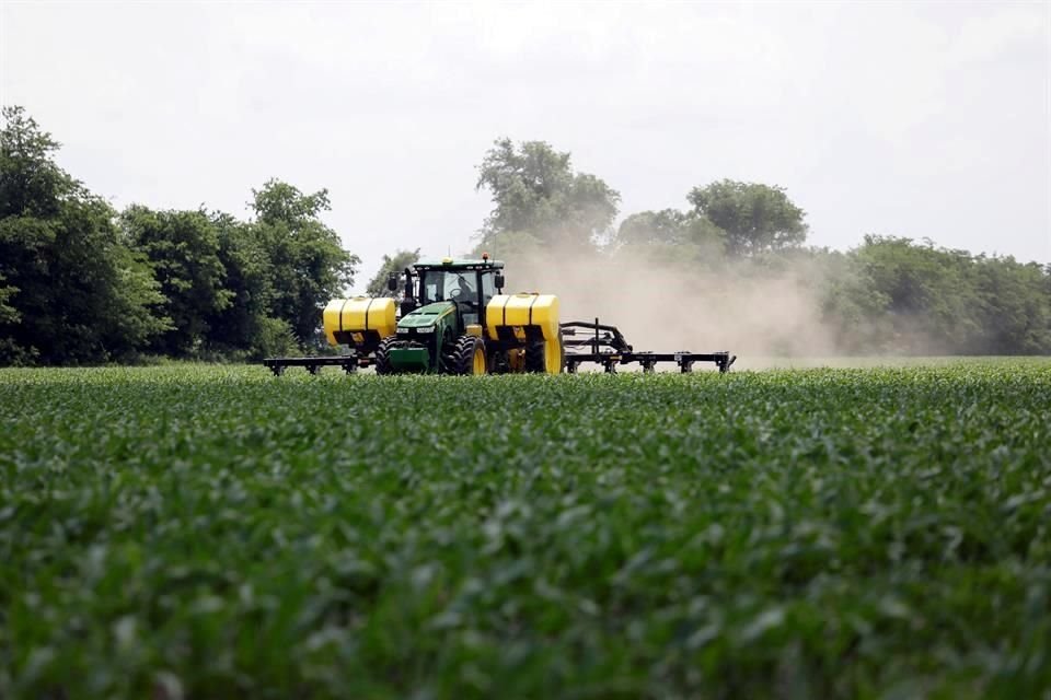 Para el ciclo primavera-verano 2020, próximo a iniciar, los costos de producción para el maíz subirán 30 por ciento, advirtió la Confederación Nacional de Productores Agrícolas de Maíz de México. 