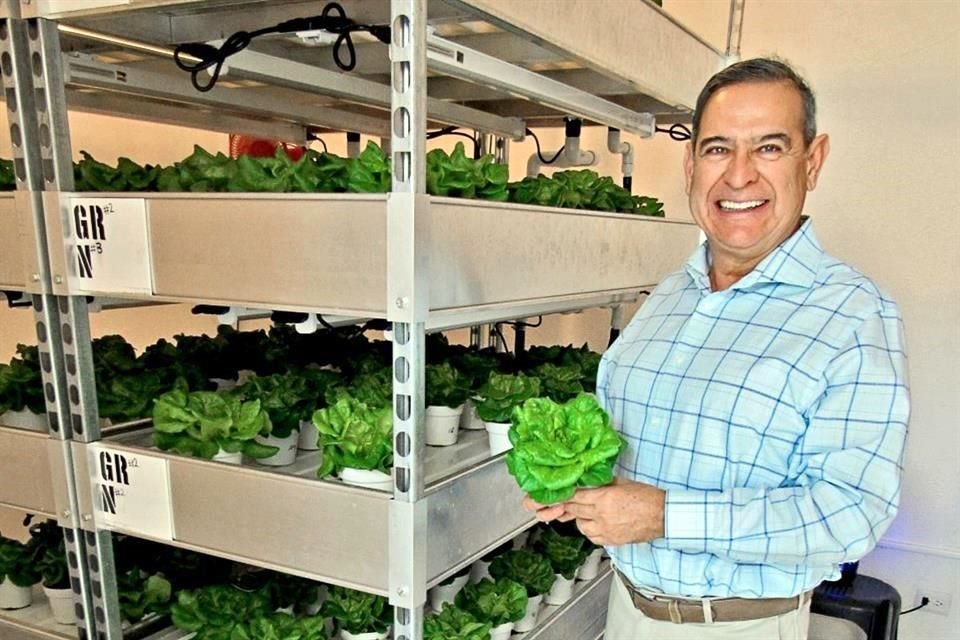 Leo Lobato Kelly muestra una sección de su cultivo vertical.