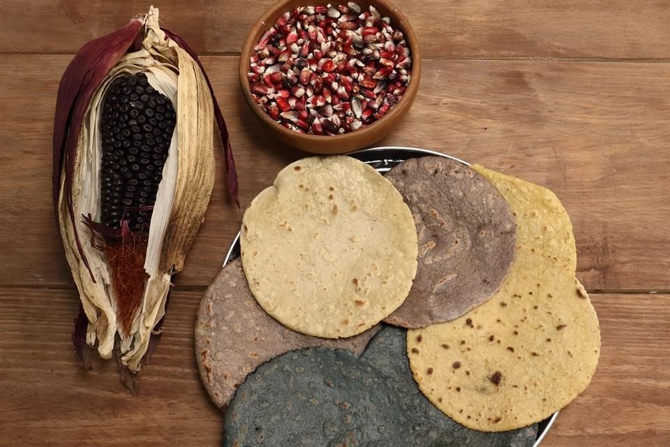 Activistas del maíz proponen al Gobierno un replanteamiento de la normativa que regula a este alimento.