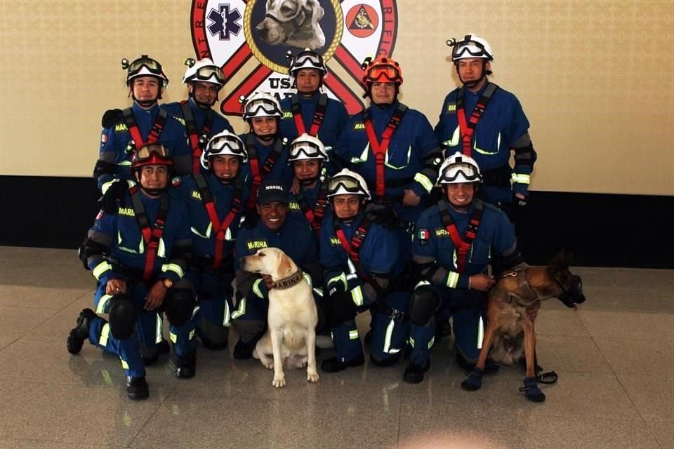En ceremonia para reconocer labor de Equipo de Búsqueda, Secretaría de Marina jubiló a 'Frida', perro rescatista que ayudó en labores de 19-S.