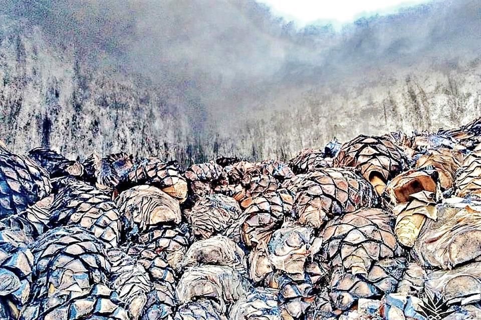 Otro de los atractivos de Sayula es la destilería La Rojesa.